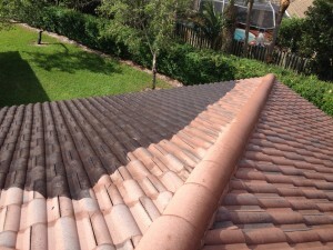 Roof Cleaning