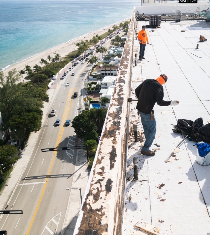 Roof Restoration