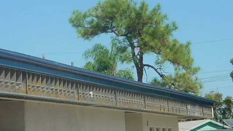 LANTANA MIDDLE SCHOOL