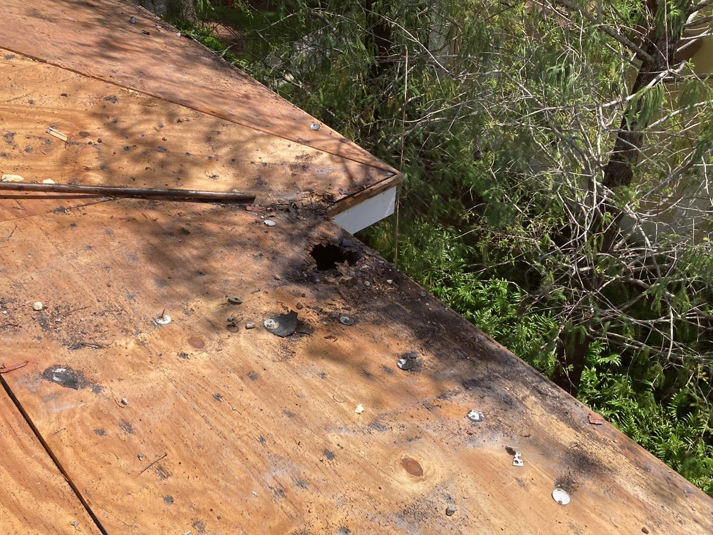 Commercial Roof Repair