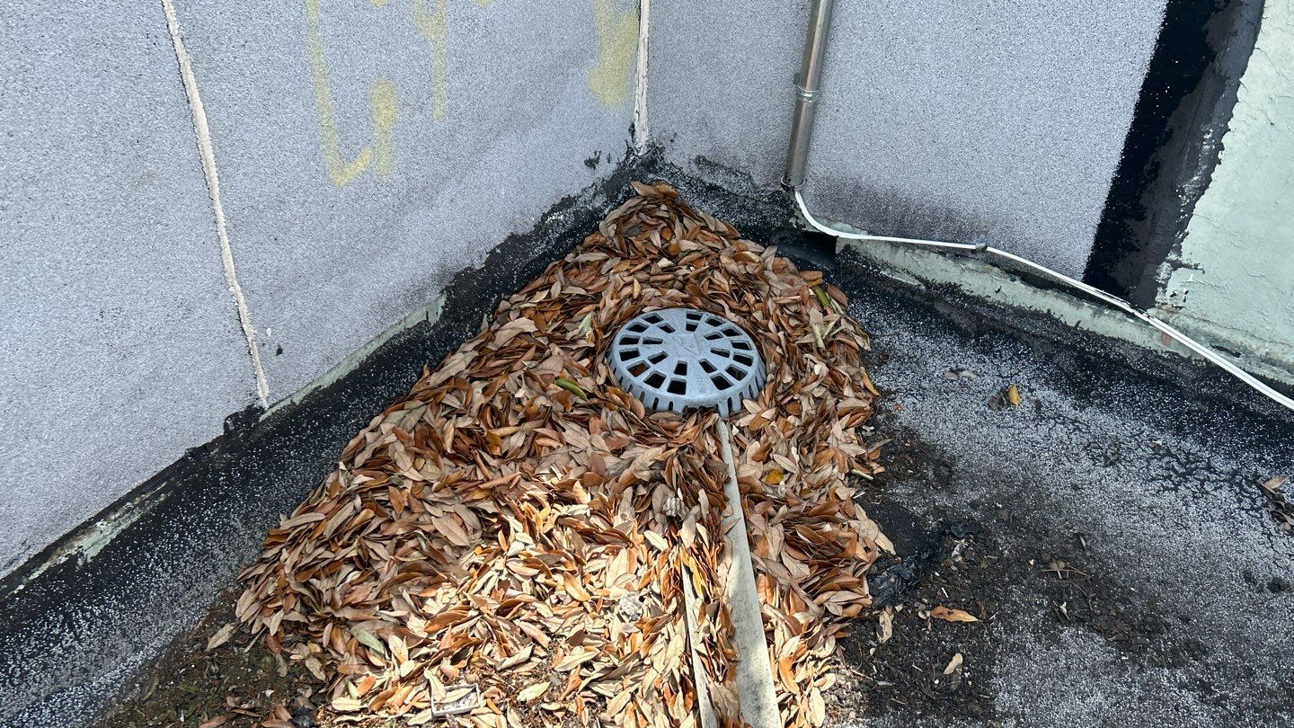 Flat Roof Drain