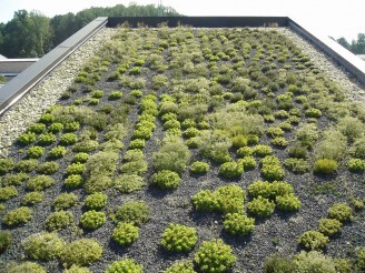 An image of another roof garden