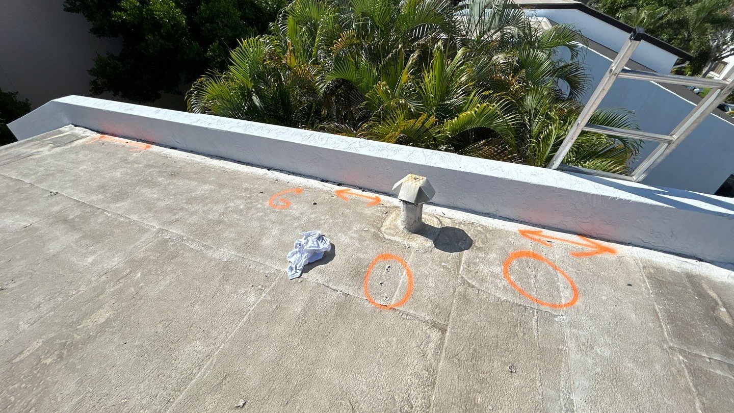 Roof inspection showing marked areas and drainage pipe against a backdrop of palm trees. 