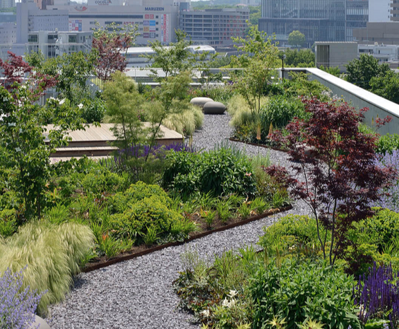 Garden roof-1-1