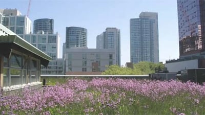 Benefits of Garden Roofs