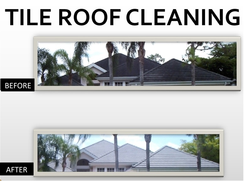 roof_cleaning
