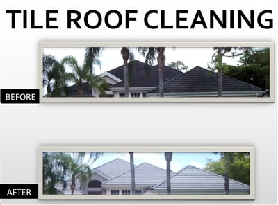 Roof Cleaning & Stain Prevention