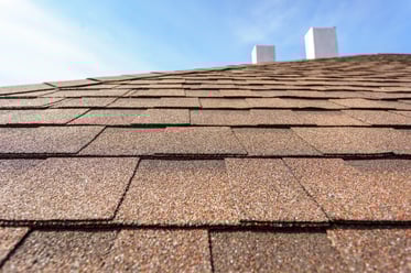 the roof of a building