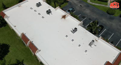TPO vs PVC Roofing: Which Single-Ply System Is Right for Your Building?
