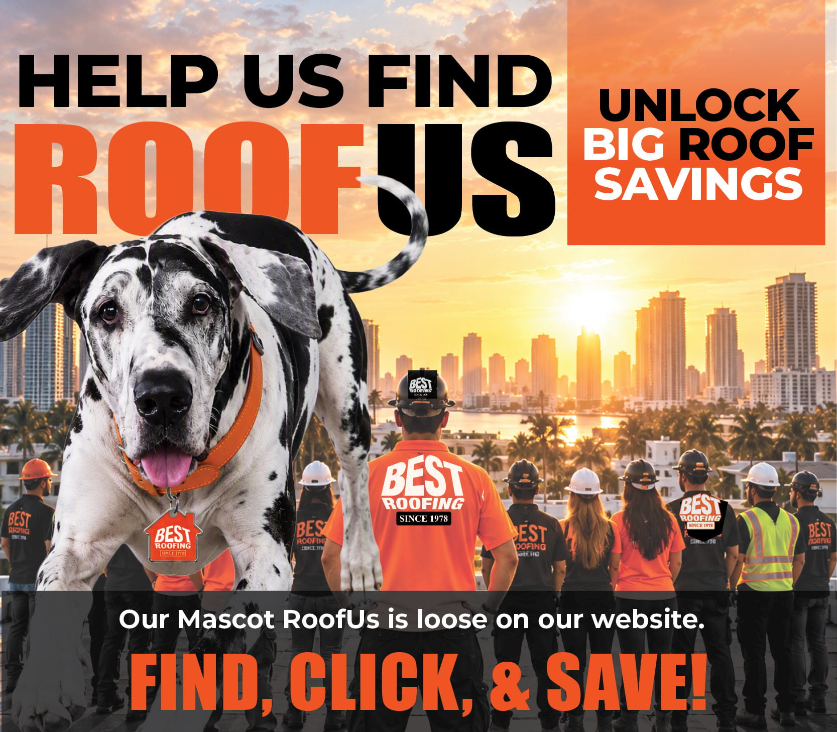 Best Roof Team Roofus Loose W