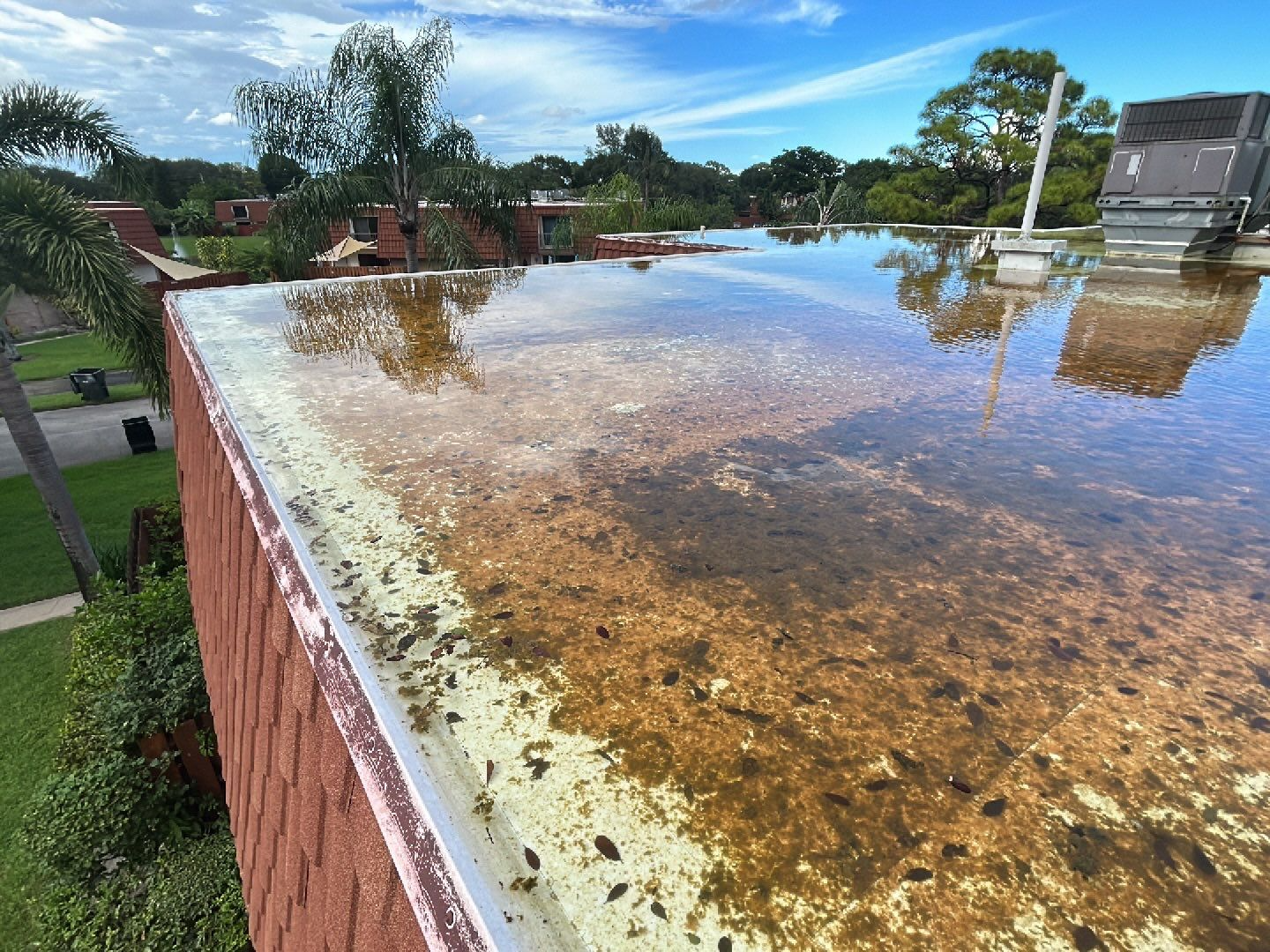 Flat Roof Ponding
