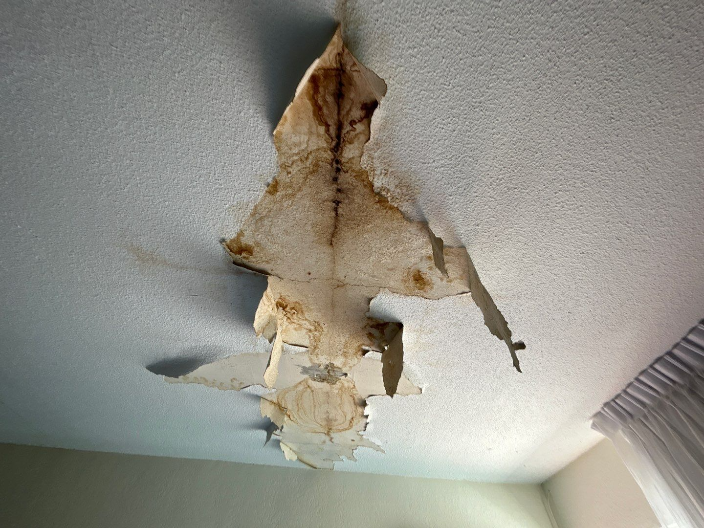 Roof Leak Damage