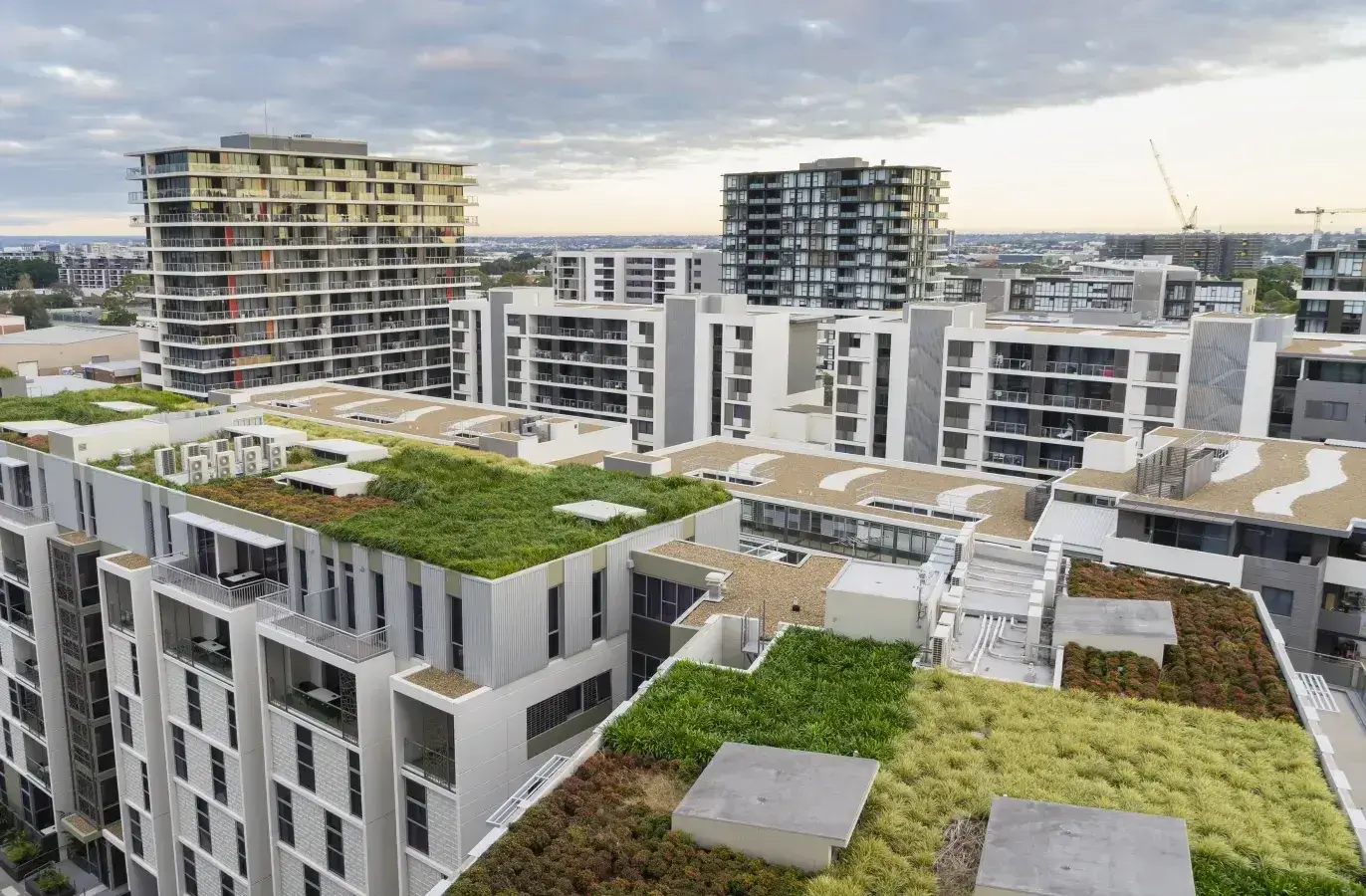 Urban landscape with buildings adorned with gardens on the rooftop.